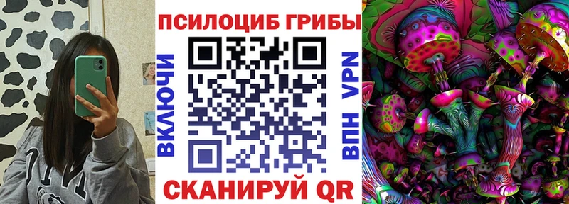 Псилоцибиновые грибы Magic Shrooms  Светогорск 